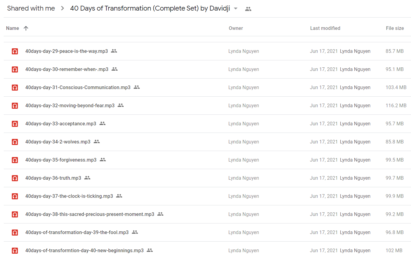 40 Days of Transformation (Complete Set) by Davidji