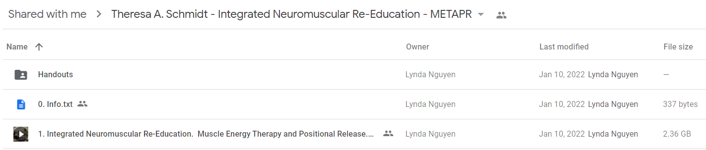 Theresa A. Schmidt - Integrated Neuromuscular Re-Education - METAPR