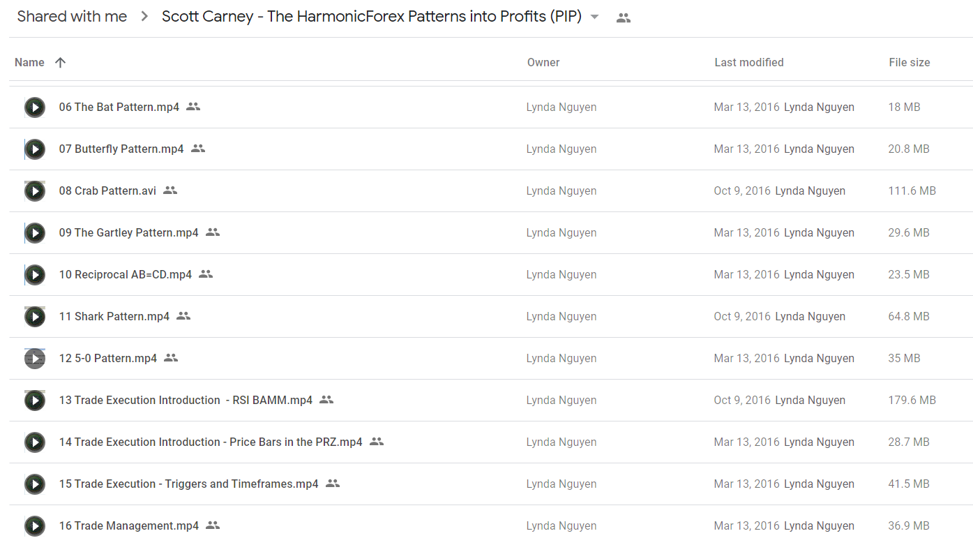 Scott Carney - The HarmonicForex Patterns into Profits (PIP)