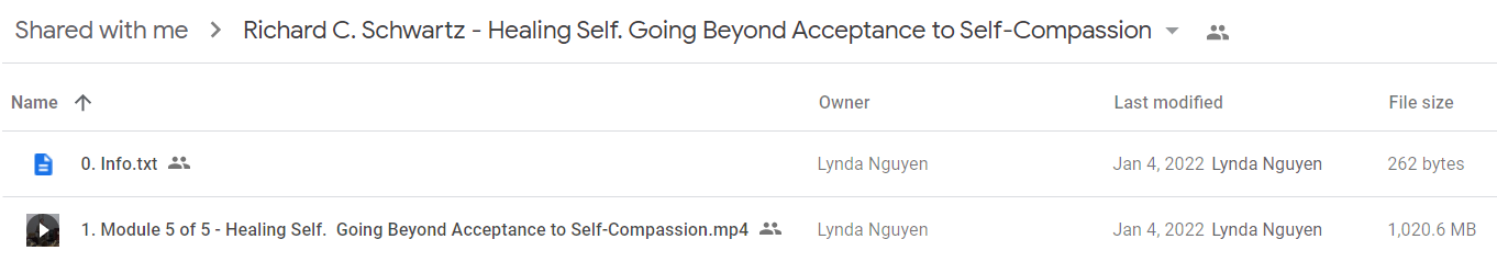 Richard C. Schwartz - Healing Self. Going Beyond Acceptance to Self-Compassion