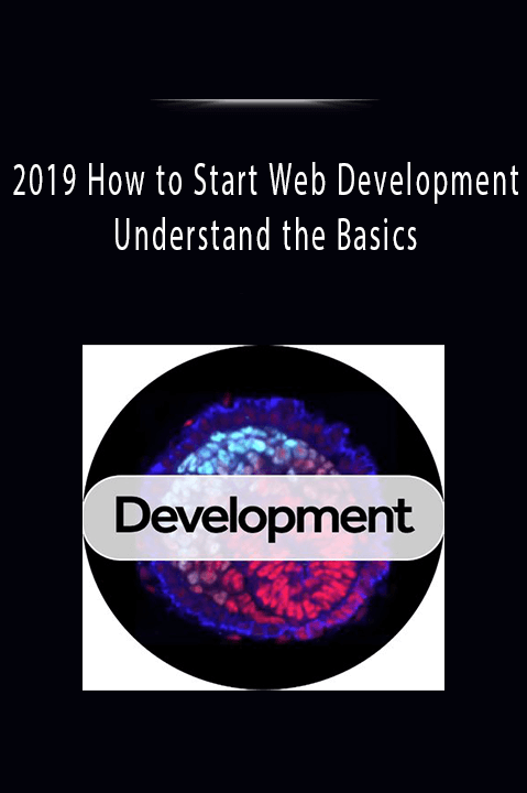 2019 How to Start Web Development: Understand the Basics