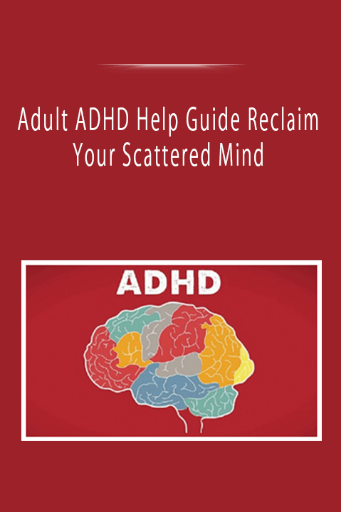 Adult ADHD Help Guide Reclaim Your Scattered Mind