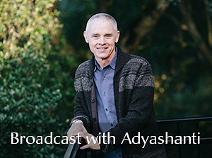 Adyashanti - The All-Encompassing View