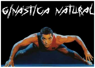 Alvaro Romano - Ginastica Natural for Fighters.