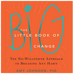 Amy Johnson - The Little Book of Big Change