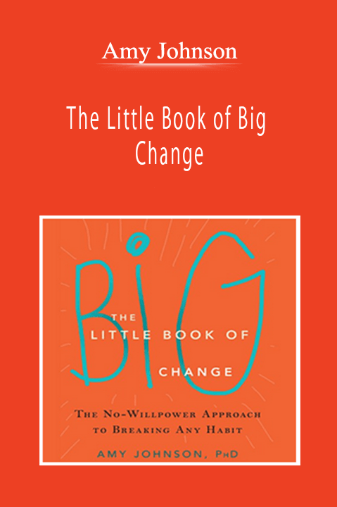 Amy Johnson - The Little Book of Big Change