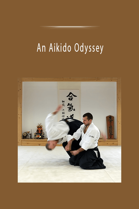 An Aikido Odyssey