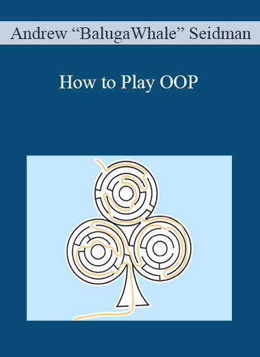 How to Play OOP – Andrew “BalugaWhale” Seidman