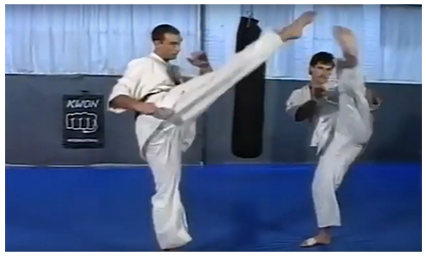 Andy Hug & Michael Wedl - .Kyokushin Karate Instructional 1 & 2