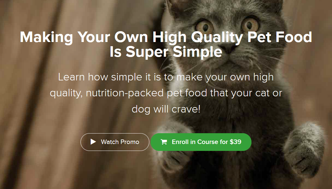 Barb Fox DVM - Making Your Own High Quality Pet Food Is Super Simple