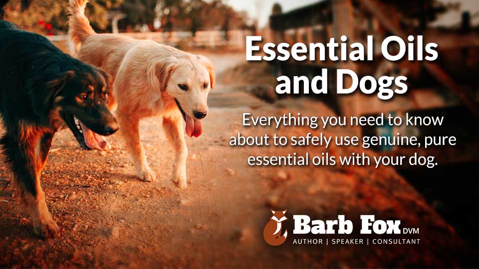 Barb Fox DVM - Using Essential Oils with Dogs