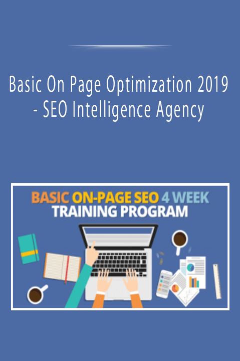 Basic On Page Optimization 2019 - SEO Intelligence Agency