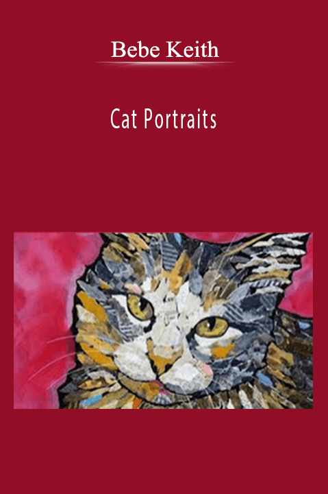 Bebe Keith - Cat Portraits