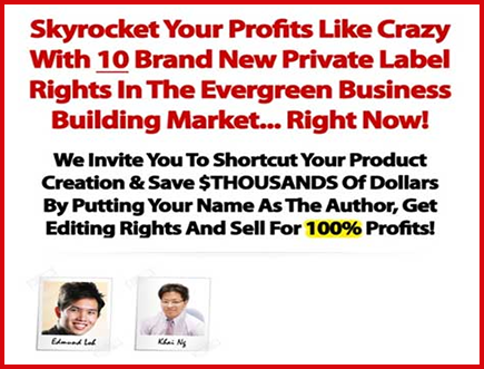 Big Business Breakthrough PLR