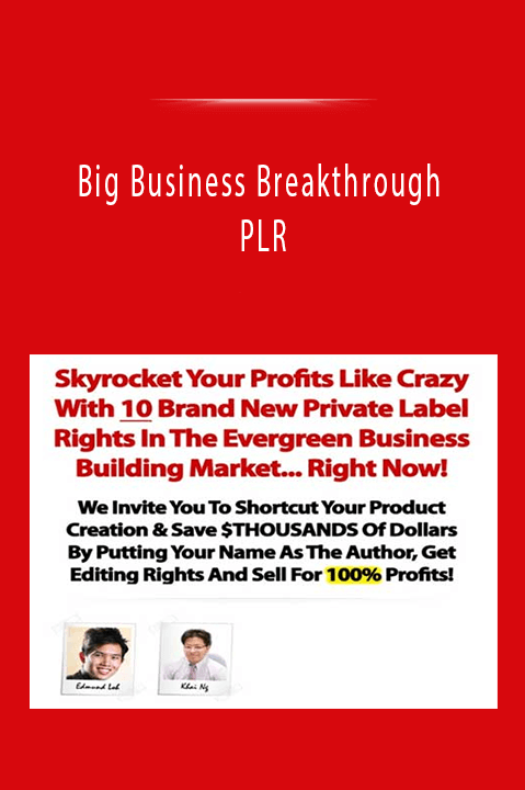 Big Business Breakthrough PLR