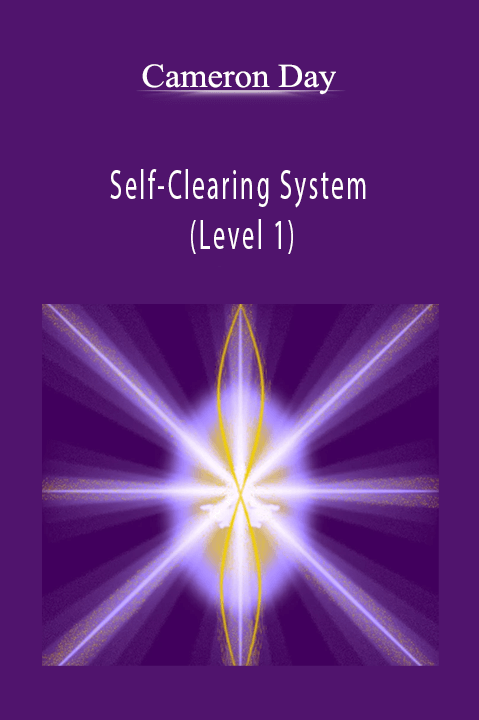 Self–Clearing System (Level 1) – Cameron Day