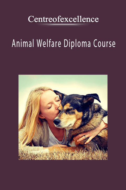 Animal Welfare Diploma Course – Centreofexcellence