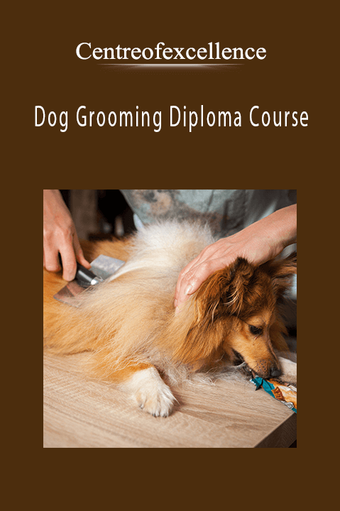 Dog Grooming Diploma Course – Centreofexcellence