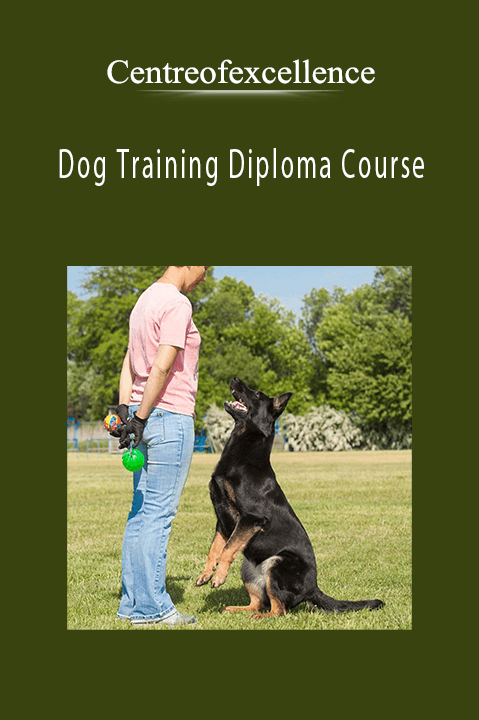 Dog Training Diploma Course – Centreofexcellence