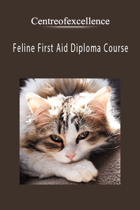 Feline First Aid Diploma Course – Centreofexcellence