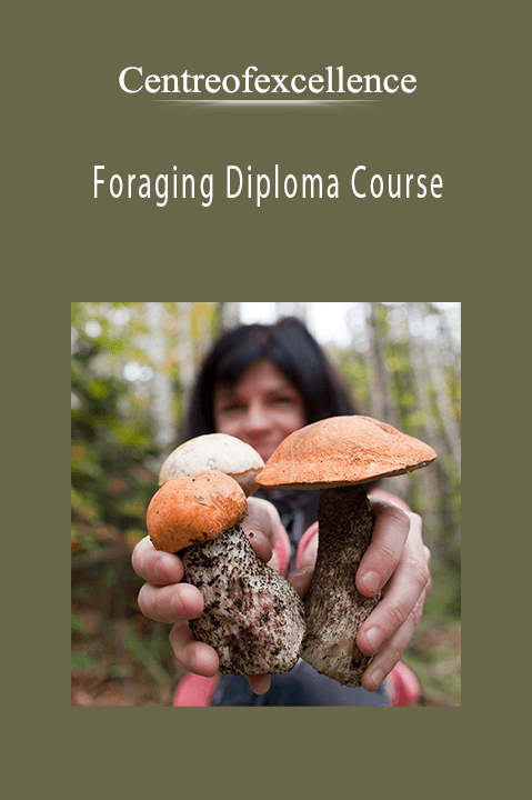 Foraging Diploma Course – Centreofexcellence