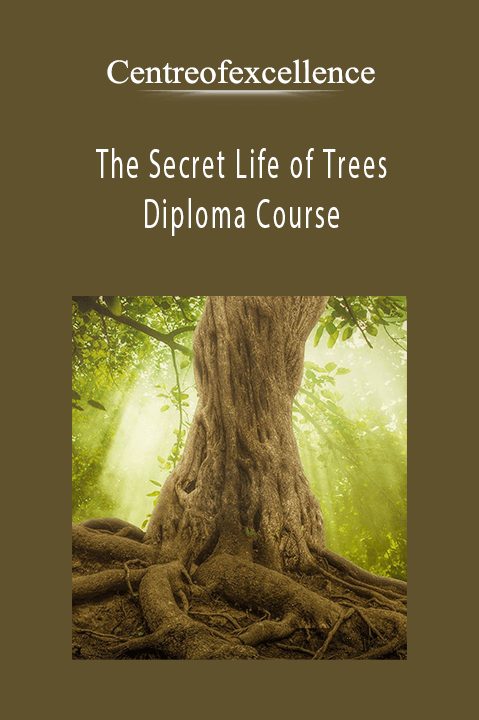 The Secret Life of Trees Diploma Course – Centreofexcellence