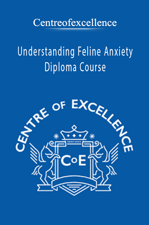 Understanding Feline Anxiety Diploma Course – Centreofexcellence