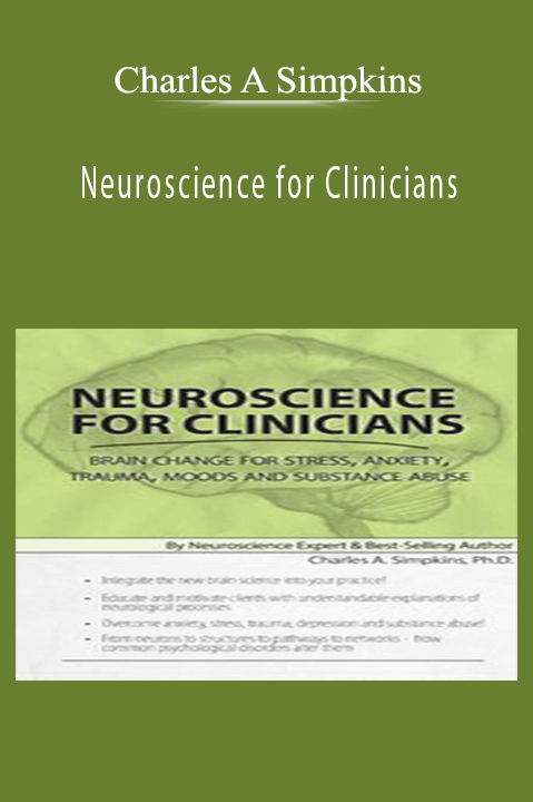 Neuroscience for Clinicians: Brain Change for Stress