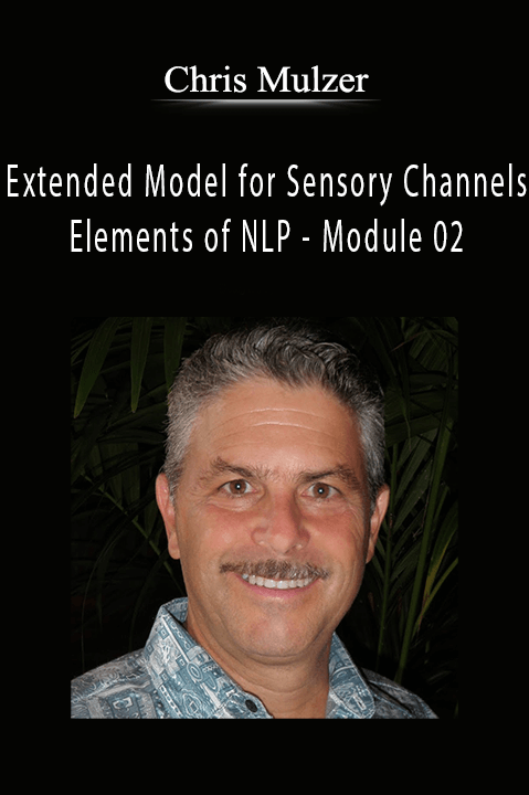 Extended Model for Sensory Channels – Elements of NLP – Module 02 – Chris Mulzer