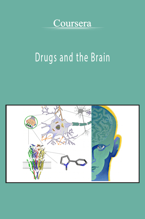 Drugs and the Brain – Coursera