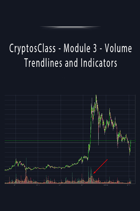 Module 3 – Volume