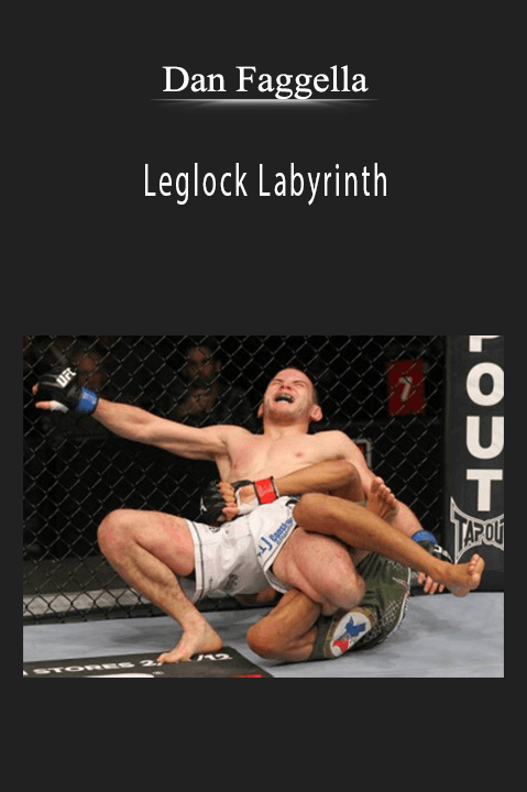 Leglock Labyrinth – Dan Faggella