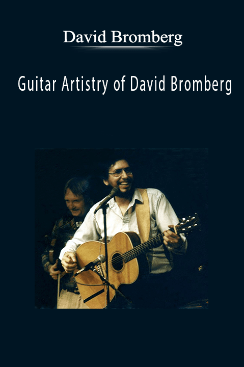 Guitar Artistry of David Bromberg – David Bromberg