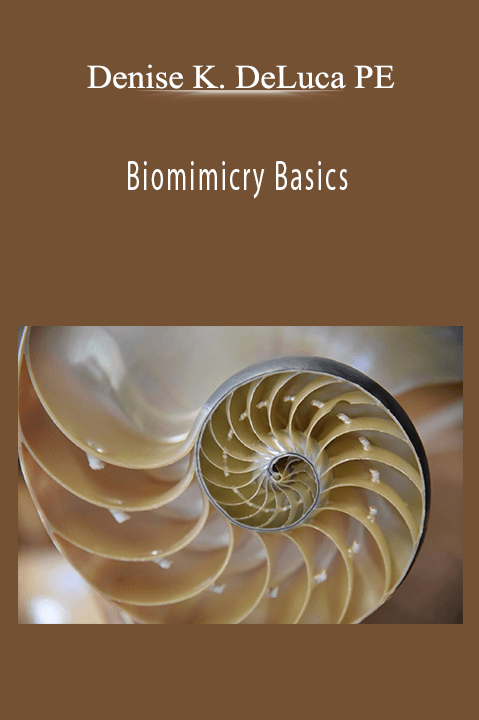 Biomimicry Basics – Denise K. DeLuca PE