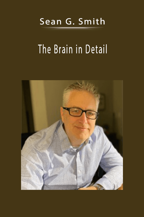 Sean G. Smith – The Brain in Detail