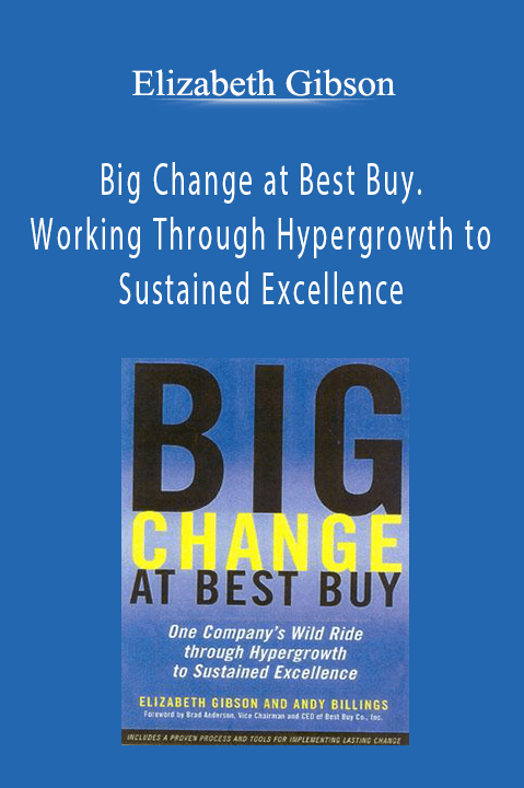 Big Change at Best Buy. Working Through Hypergrowth to Sustained Excellence – Elizabeth Gibson