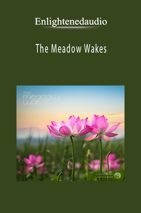 The Meadow Wakes – Enlightenedaudio