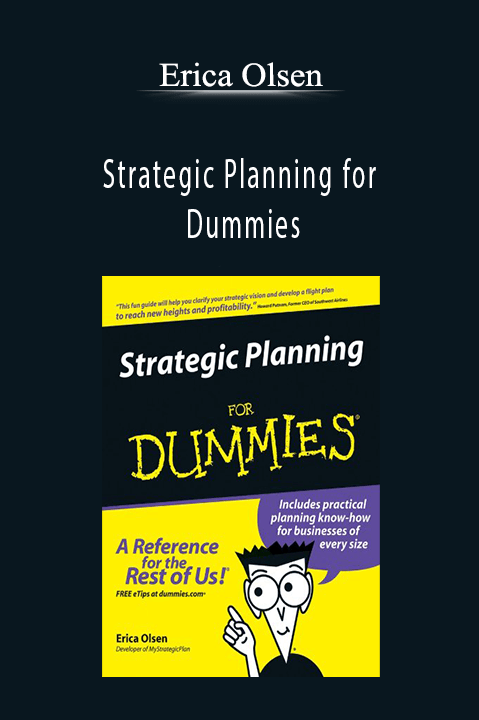 Strategic Planning for Dummies – Erica Olsen