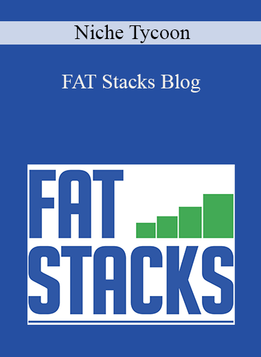 Niche Tycoon – FAT Stacks Blog