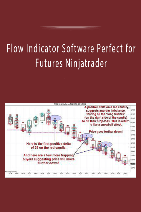 Flow Indicator Software Perfect for Futures Ninjatrader