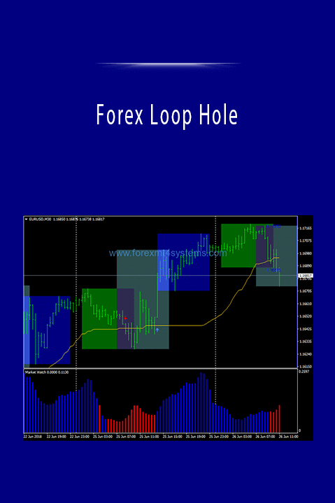 Forex Loop Hole