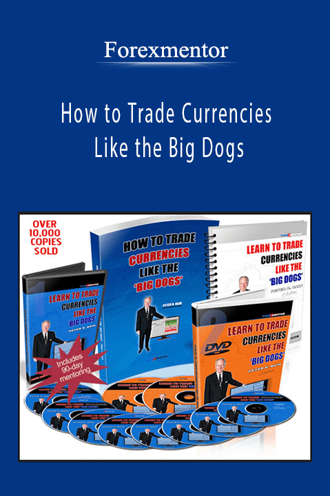 How to Trade Currencies Like the Big Dogs – Forexmentor