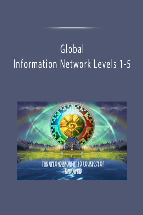 Global Information Network Levels 1–5