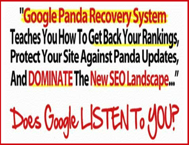 Google Panda Slap RECOVERY SYSTEM