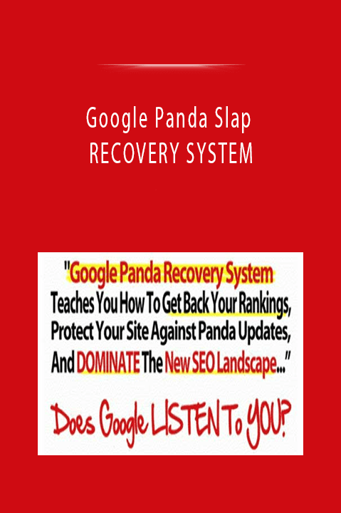 Google Panda Slap RECOVERY SYSTEM