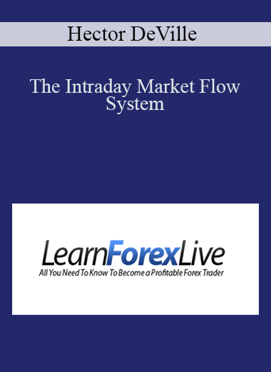 The Intraday Market Flow System – Hector DeVille