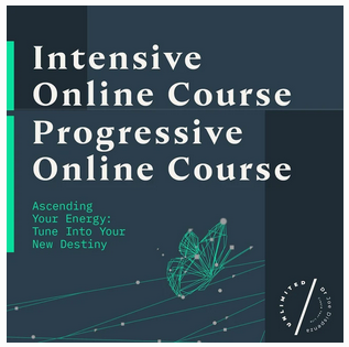 Joe Dispenza - Progressive and Intensive Online Course Bundle