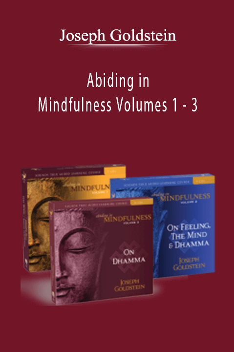 Abiding in Mindfulness Volumes 1 – 3 – Joseph Goldstein