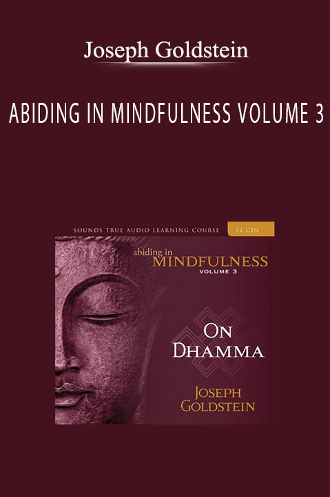 ABIDING IN MINDFULNESS VOLUME 3 – Joseph Goldstein