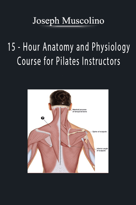 15 – Hour Anatomy and Physiology Course for Pilates Instructors – Joseph Muscolino